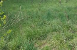 Teren intravilan, suprafata de 1250 mp, Capataneni Ungureni