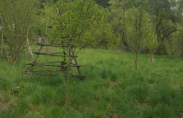 Teren intravilan, suprafata de 1250 mp, Capataneni Ungureni