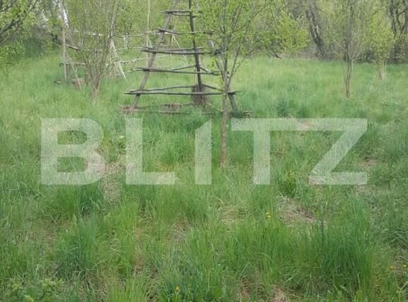 Teren de vânzare Capatanenii Ungureni - 162670TV | BLITZ Pitești | Poza2