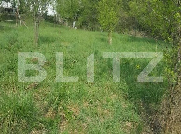 Teren de vânzare Capatanenii Ungureni - 162670TV | BLITZ Pitești | Poza1