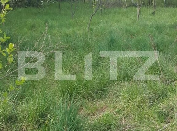 Teren de vânzare Capatanenii Ungureni - 162670TV | BLITZ Pitești | Poza4