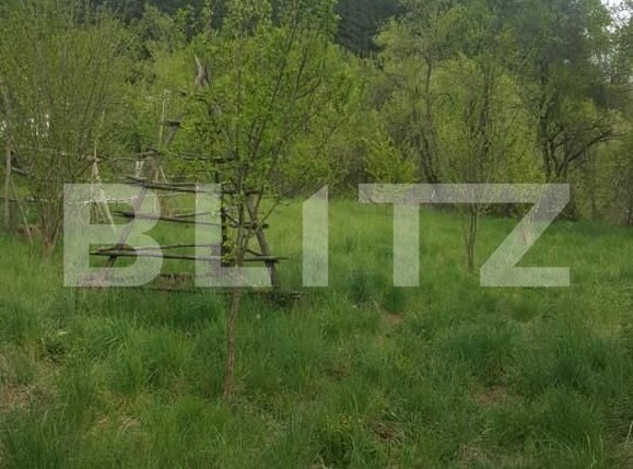 Teren de vânzare Capatanenii Ungureni - 162670TV | BLITZ Pitești | Poza3