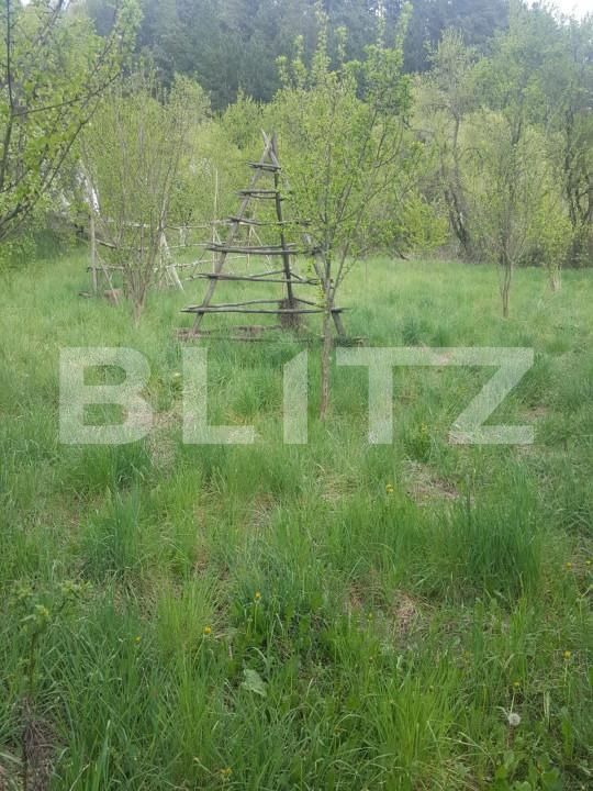 Teren de vânzare Capatanenii Ungureni - 162670TV | BLITZ Pitești | Poza2