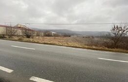 Teren intravilan cu suprafata de 5000mp