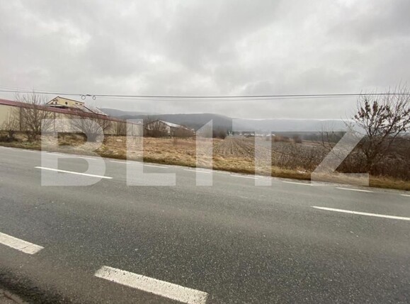 Teren de vânzare Dobrogostea - 162674TV | BLITZ Pitești | Poza2