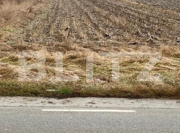 Teren de vânzare Dobrogostea - 162674TV | BLITZ Pitești | Poza1