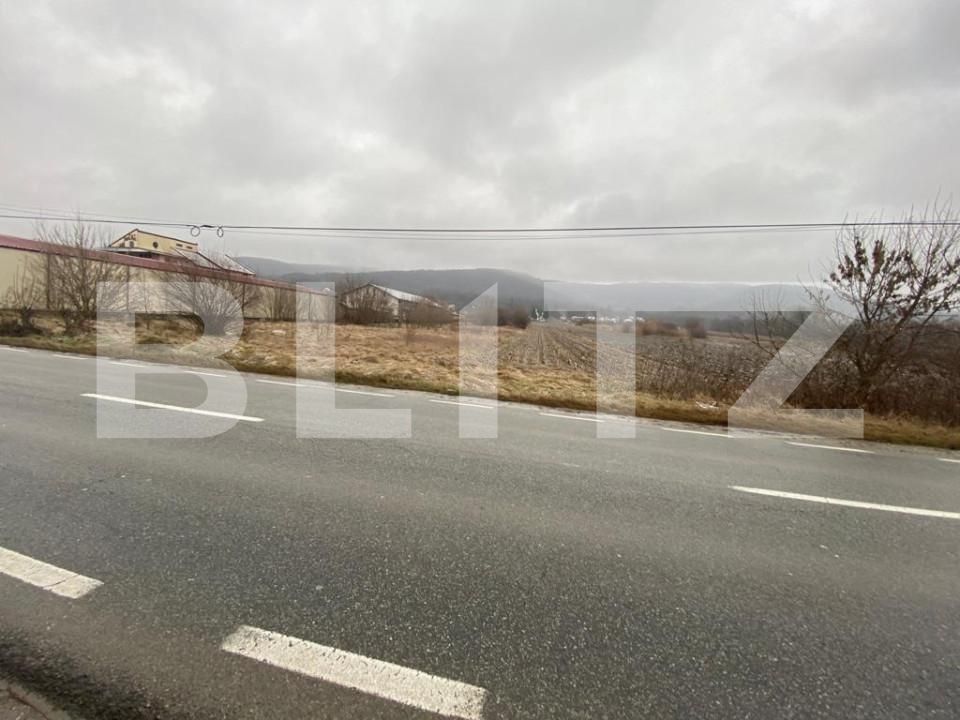 Teren de vânzare Dobrogostea - 162674TV | BLITZ Pitești | Poza2