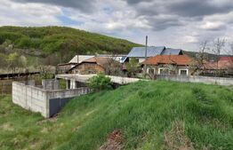 Teren intravilan, 1754 mp in Draganu