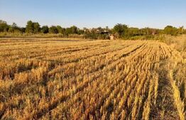 Teren de vanzare, 3997 mp, zona Stolnici