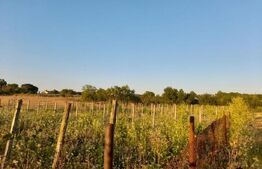 Teren de vanzare, 3997 mp, zona Stolnici