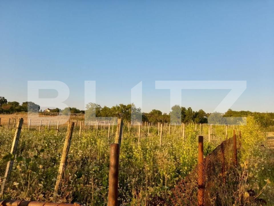 Teren de vânzare Central - 163218TV | BLITZ Pitești | Poza2