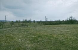 Teren intravilan și extravilan, suprafata de 1,37 hectare, langa Pitesti