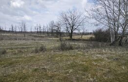 Teren intravilan și extravilan, suprafata de 1,37 hectare, langa Pitesti