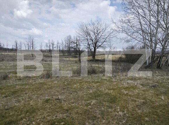 Teren de vânzare Big-Bascov - 190598TV | BLITZ Pitești | Poza3