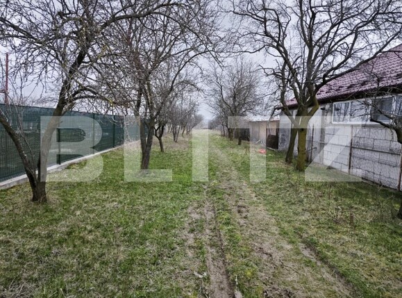 Teren de vânzare Big-Bascov - 190598TV | BLITZ Pitești | Poza2