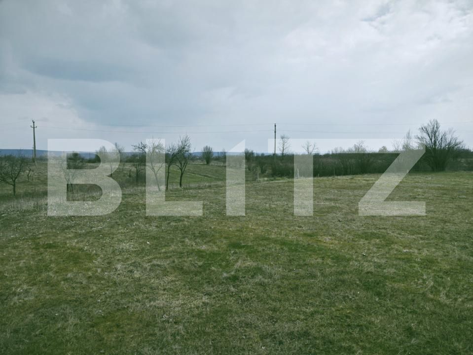 Teren de vânzare Big-Bascov - 190598TV | BLITZ Pitești | Poza4