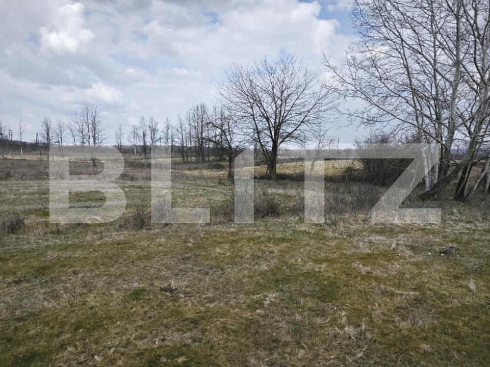 Teren de vânzare Big-Bascov - 190598TV | BLITZ Pitești | Poza3