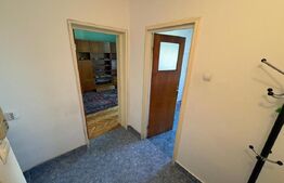 Apartament cu 2 camere | Craiovei – Exercițiu | Zona Kaufland | Bloc reabilitat 