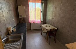 Apartament 2 camere, 48 mp, zona Cariovei