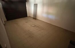 Vilă P+1 de vanzare, 164 mp, teren 462 mp, garaj, zona Ștefănești
