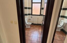 Vilă P+1 de vanzare, 164 mp, teren 462 mp, garaj, zona Ștefănești