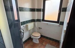 Vilă P+1 de vanzare, 164 mp, teren 462 mp, garaj, zona Ștefănești