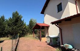 Vilă P+1 de vanzare, 164 mp, teren 462 mp, garaj, zona Ștefănești
