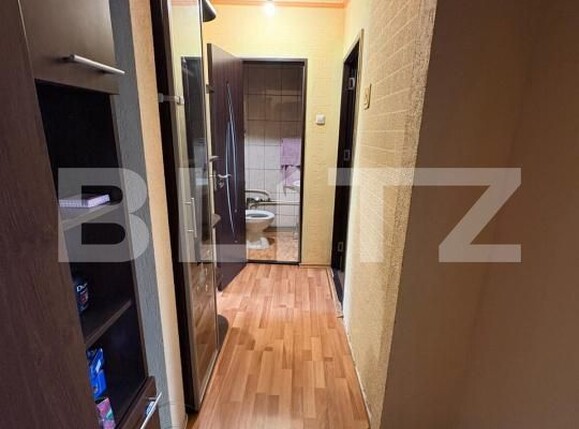 Apartament de vânzare 3 camere Banat - 204420AV | BLITZ Pitești | Poza10