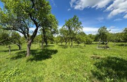 Teren intravilan 4.559 mp, zona Corbi – Corbșori