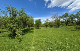 Teren intravilan 4.559 mp, zona Corbi – Corbșori