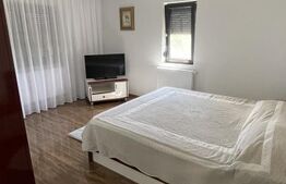 Casă nouă, 110 mp, 6.000 mp de teren, zona Spiridoni