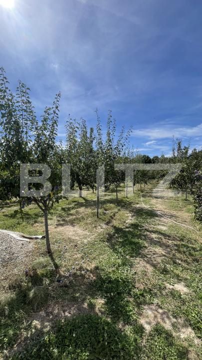 Casa de vânzare 3 camere Spiridoni - 205098CV | BLITZ Pitești | Poza13