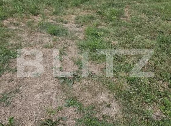 Teren de vânzare Gavana - 205140TV | BLITZ Pitești | Poza1
