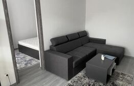 Apartament 3 camere renovat integral în 2026, mobilat și utilat, Exercițiu