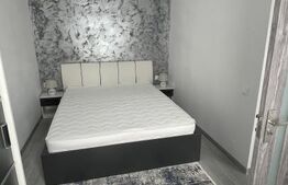 Apartament 3 camere renovat integral în 2026, mobilat și utilat, Exercițiu