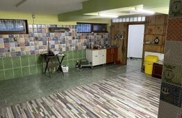 Vila de vanzare, 500 mp, teren 1000 mp, zona Stefanesti