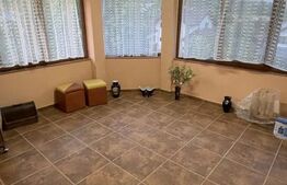 Vila de vanzare, 500 mp, teren 1000 mp, zona Stefanesti