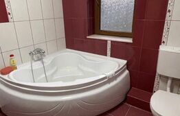 Vila de vanzare, 500 mp, teren 1000 mp, zona Stefanesti