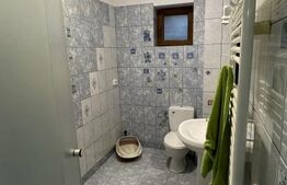 Vila de vanzare, 500 mp, teren 1000 mp, zona Stefanesti