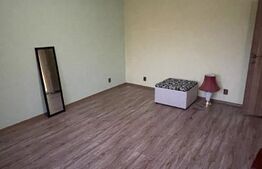 Vila de vanzare, 500 mp, teren 1000 mp, zona Stefanesti
