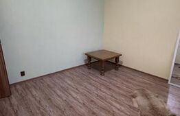 Vila de vanzare, 500 mp, teren 1000 mp, zona Stefanesti
