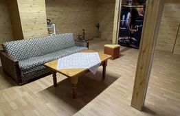 Vila de vanzare, 500 mp, teren 1000 mp, zona Stefanesti