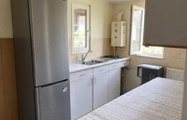 Casa 50 mp, 2.200 mp teren intravilan, zona Hintesti