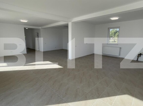 Spațiu comercial de închiriat Stefanesti - 205955SIC | BLITZ Pitești | Poza4