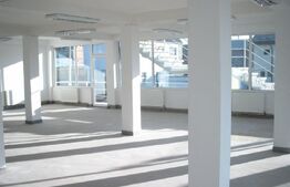 Imobil pentru inchiriere, 740 mp, dispus pe 4 niveluri, zona Craiovei