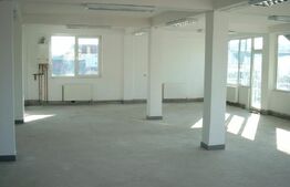 Imobil pentru inchiriere, 740 mp, dispus pe 4 niveluri, zona Craiovei