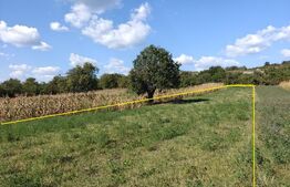 Teren intravilan, 1.384 mp, zona Calinesti