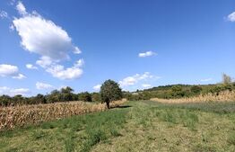 Teren intravilan, 1.384 mp, zona Calinesti