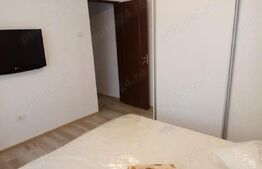 Apartament 2 camere | Ultracentral | Renovat recent | Mobilat si utilat premium