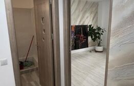 Apartament renovat complet, parter, potrivit pentru locuire